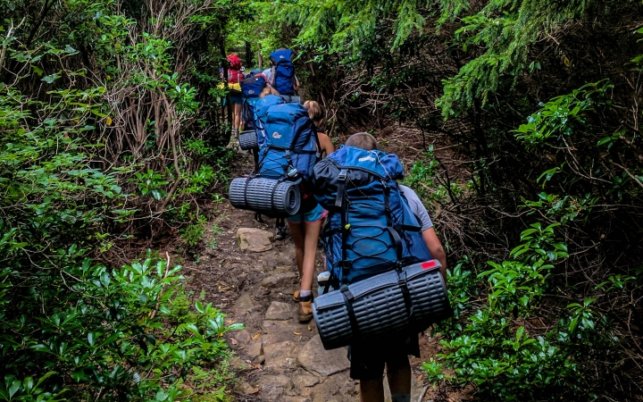 A group of people wearing backpacks hike away from the camera through a densely wooded area. 